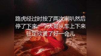 路虎经过时按了两次喇叭然后停了下来一个大哥从车上下来驻足欣赏了好一会儿