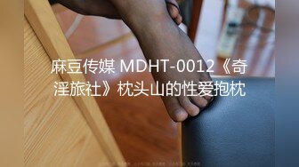 麻豆传媒 MDHT-0012《奇淫旅社》枕头山的性爱抱枕