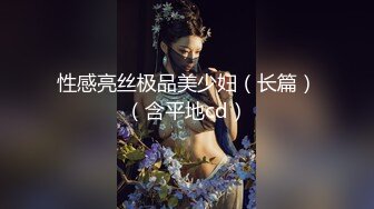 性感亮丝极品美少妇（长篇）（含平地cd）