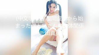 (中文字幕)部屋間違いから始まった僕と奥さんの肉体関係 新田真美