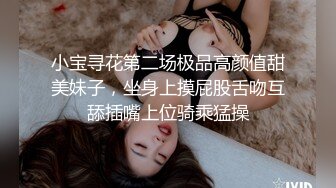 小宝寻花第二场极品高颜值甜美妹子，坐身上摸屁股舌吻互舔插嘴上位骑乘猛操