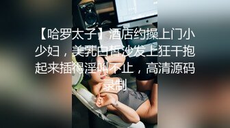 【哈罗太子】酒店约操上门小少妇，美乳白皙沙发上狂干抱起来插得淫叫不止，高清源码录制