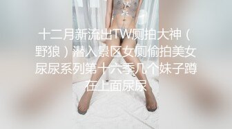 十二月新流出TW厕拍大神（野狼）潜入景区女厕偷拍美女尿尿系列第十六季几个妹子蹲在上面尿尿